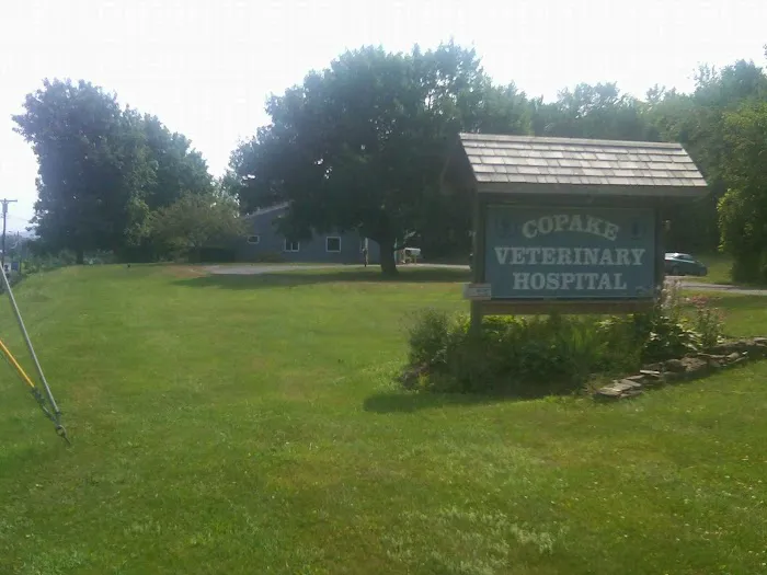 Copake Veterinary Hospital Picture 10
