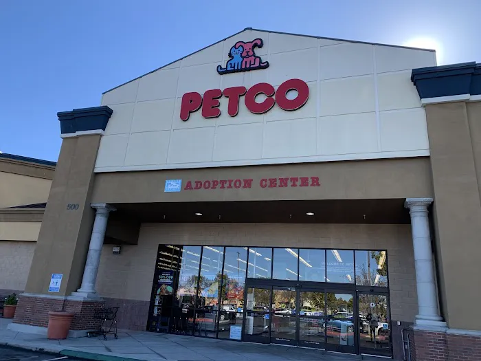 Petco Picture 2