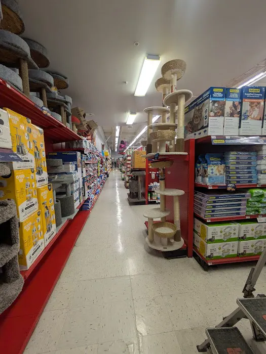 Petco Picture 9