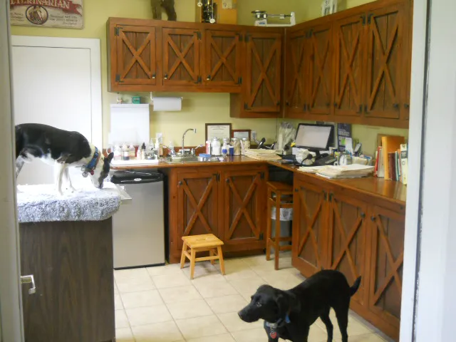 Integrative Animal Care Picture 1