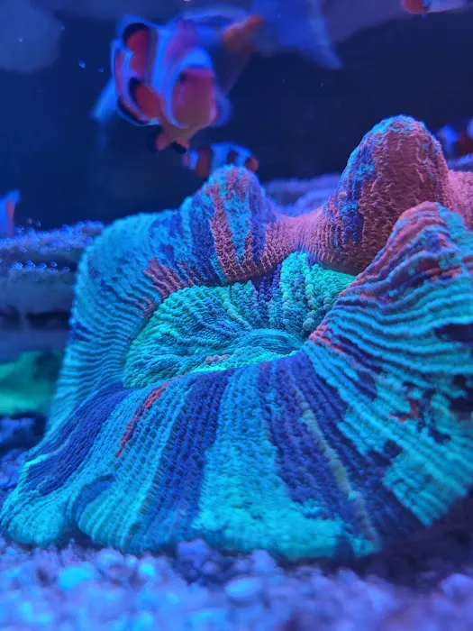 Aqua Plus Aquarium Picture 1