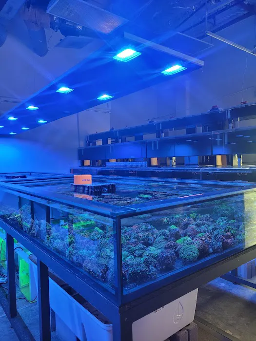 Aqua Plus Aquarium Picture 2