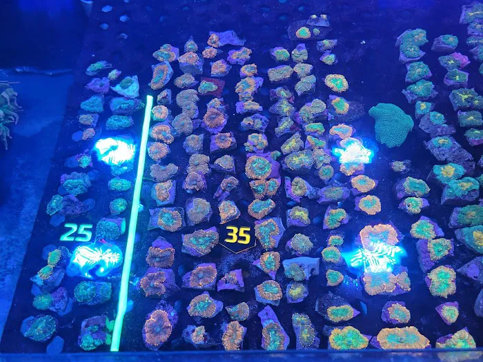 Aqua Plus Aquarium Picture 5