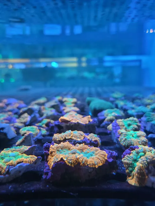 Aqua Plus Aquarium Picture 4