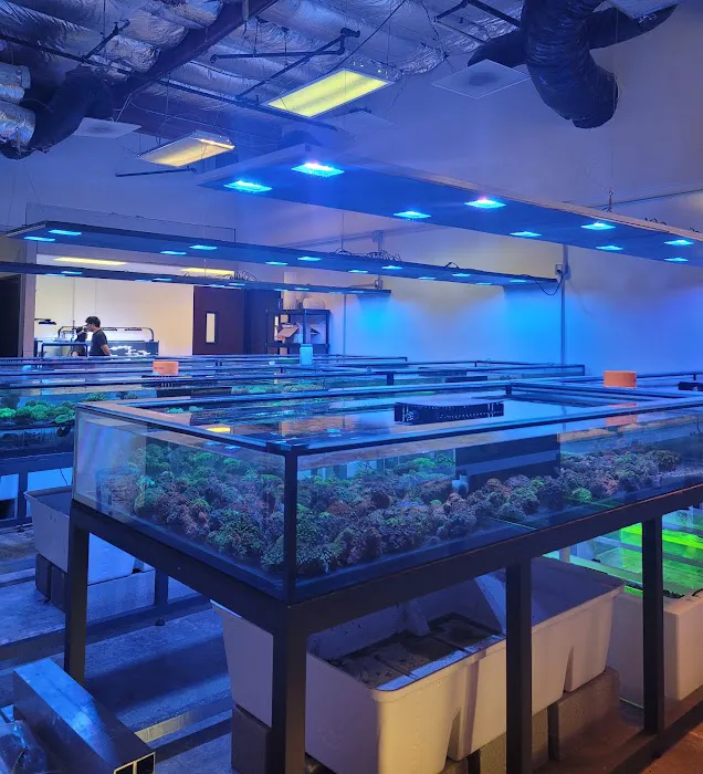 Aqua Plus Aquarium Picture 6