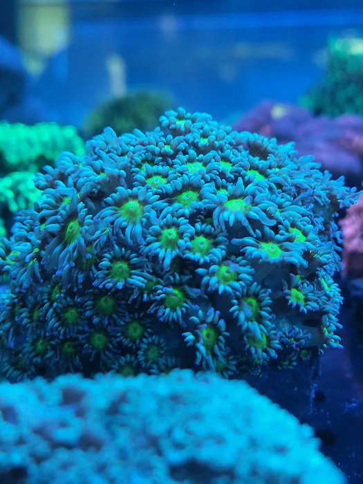 Aqua Plus Aquarium Picture 7