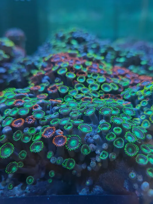 Aqua Plus Aquarium Picture 10