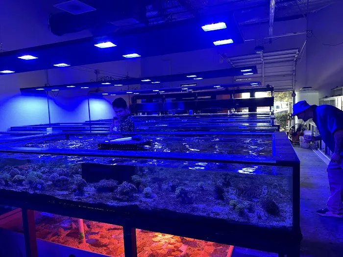 Aqua Plus Aquarium Picture 8