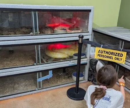 Pets and More