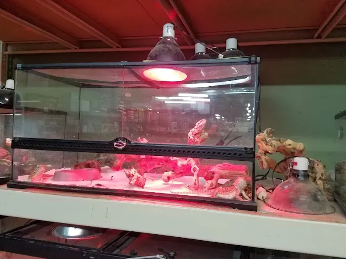 Pets and More Picture 5