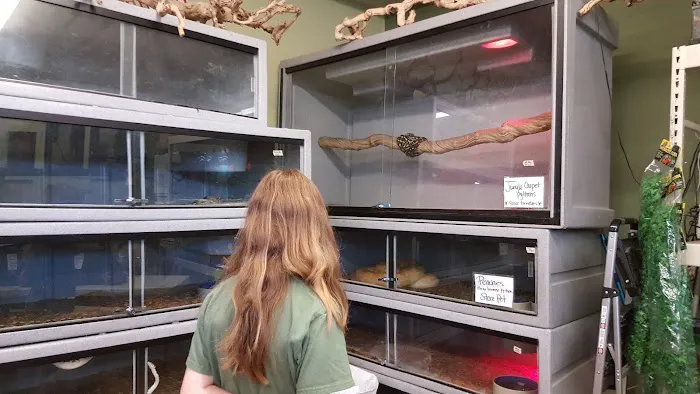 Pets and More Picture 10