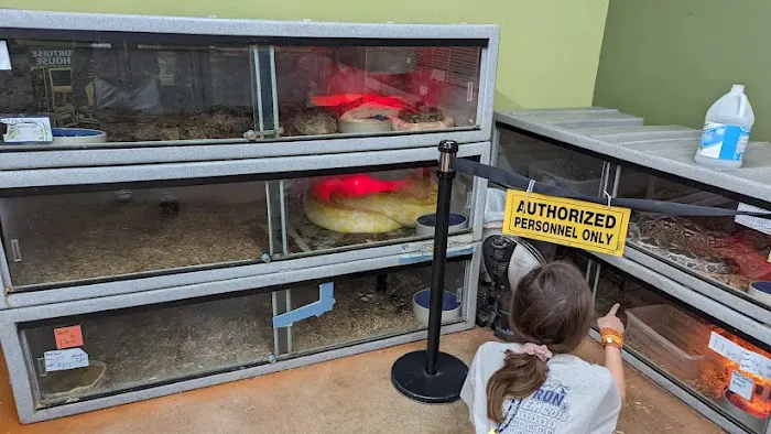 Pets and More Picture 8