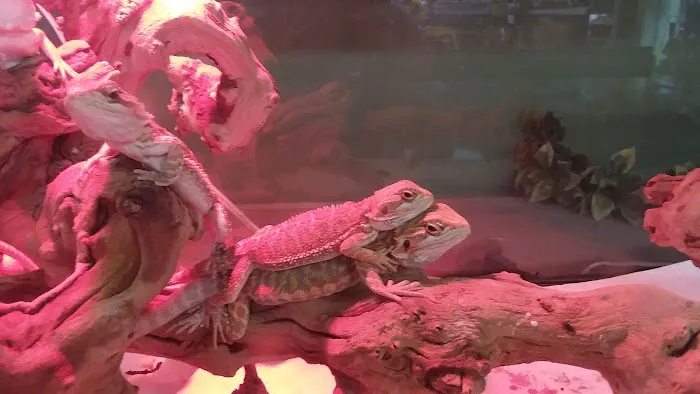 Pets and More Picture 9