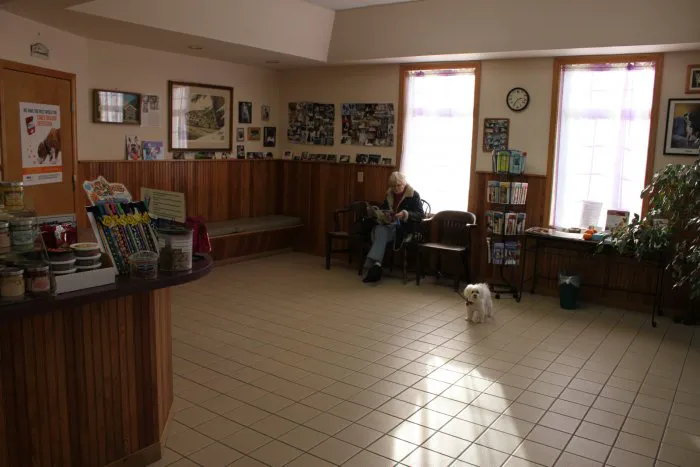 VCA All Caring Animal Hospital Picture 7