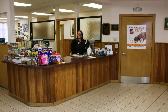 VCA All Caring Animal Hospital Picture 5