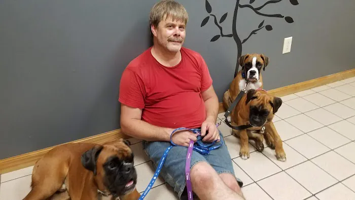 VCA All Caring Animal Hospital Picture 10