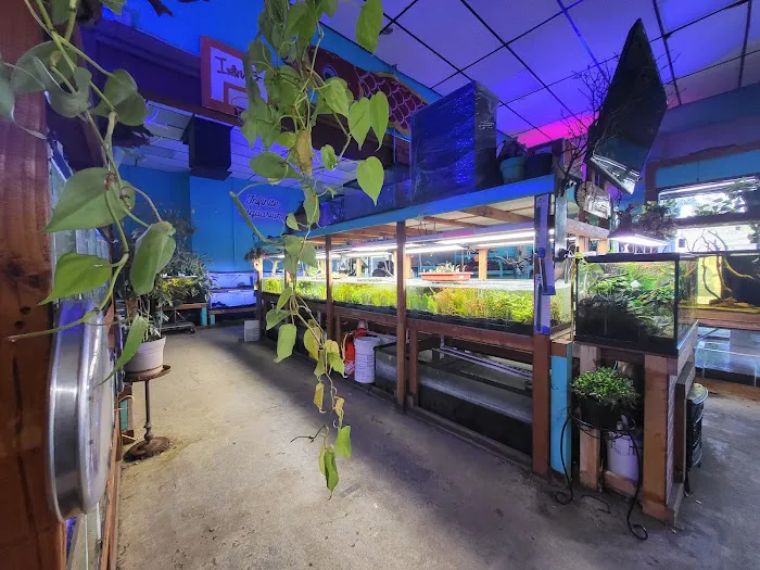 Infinite Aquarium Picture 3