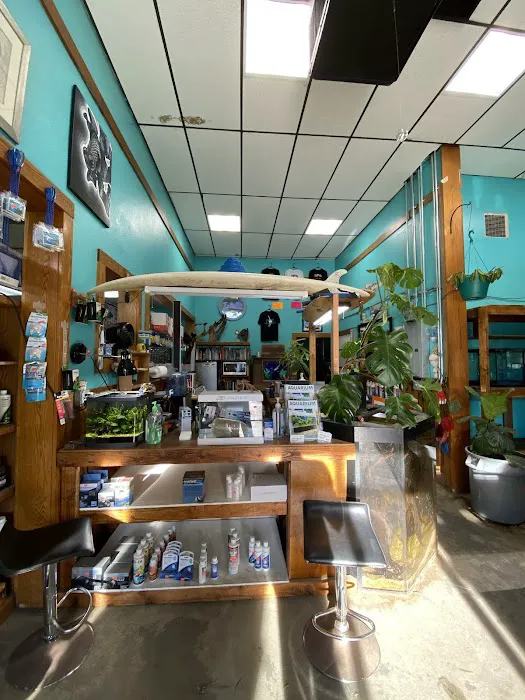 Infinite Aquarium Picture 1