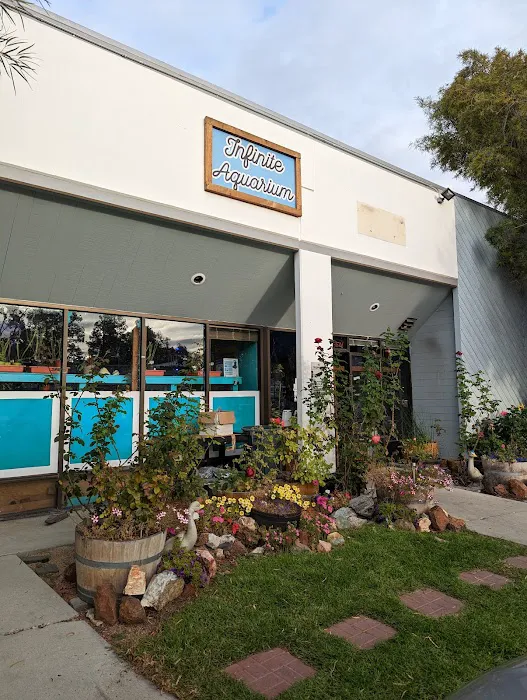 Infinite Aquarium Picture 2