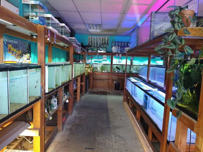 Infinite Aquarium Picture 5