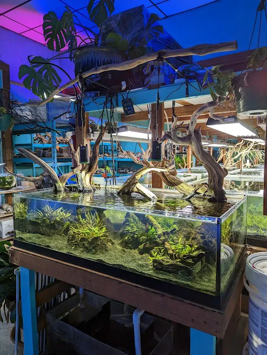 Infinite Aquarium Picture 4