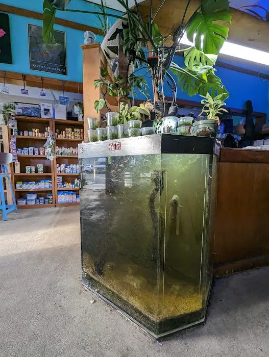 Infinite Aquarium Picture 7