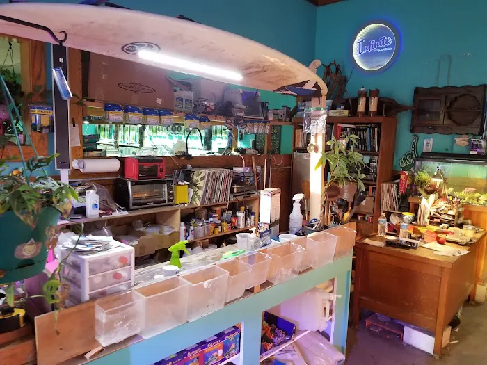 Infinite Aquarium Picture 10