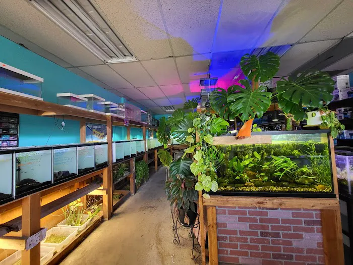 Infinite Aquarium Picture 8