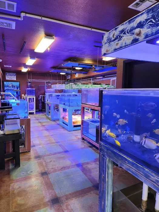 Violet Sea Fish and Coral Picture 3