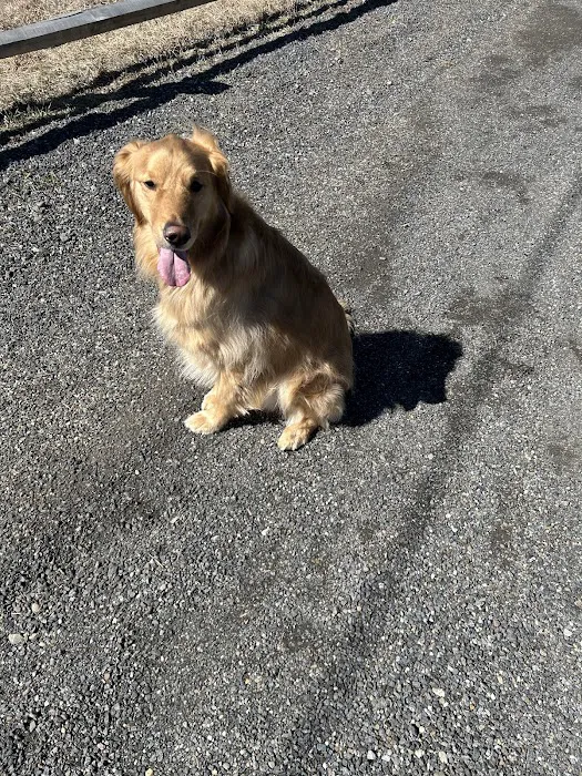 Pine Plains Veterinary Hospital Picture 3