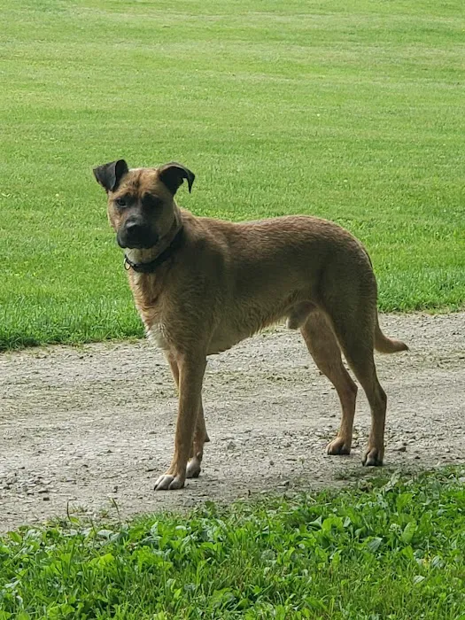 Pine Plains Veterinary Hospital Picture 5
