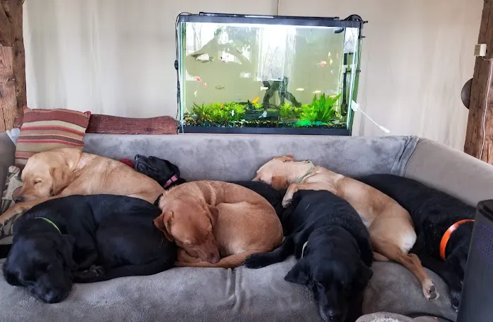 Pine Plains Veterinary Hospital Picture 4