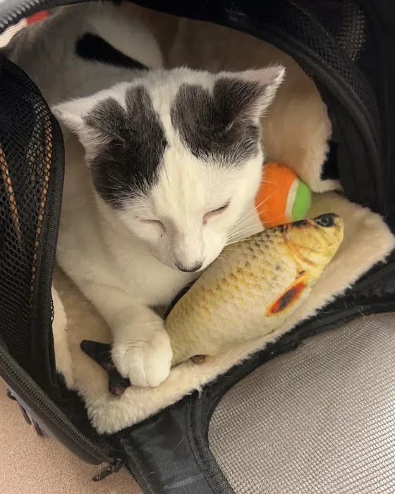 Pine Plains Veterinary Hospital Picture 8