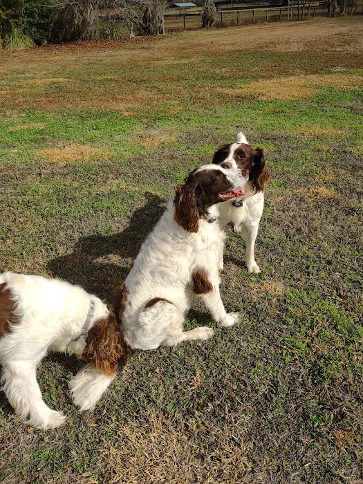 Pine Plains Veterinary Hospital Picture 6