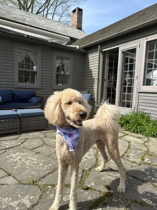 Pine Plains Veterinary Hospital Picture 9