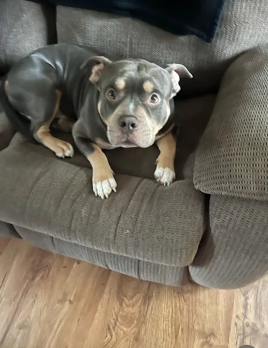 Pine Plains Veterinary Hospital Picture 10