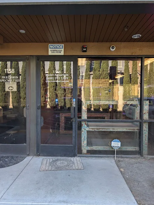 Violet Aquarium LLC Picture 1