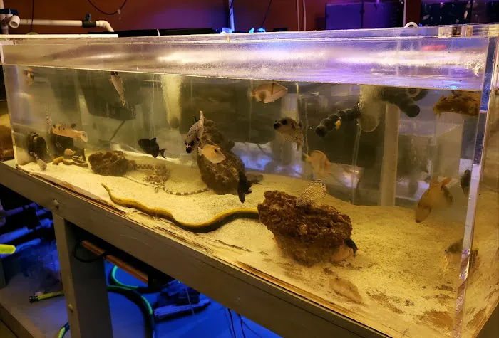 Violet Aquarium LLC Picture 2