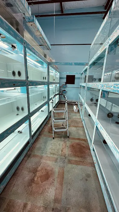 Violet Aquarium LLC Picture 4