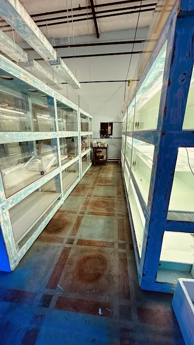 Violet Aquarium LLC Picture 7