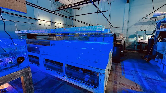 Violet Aquarium LLC Picture 5