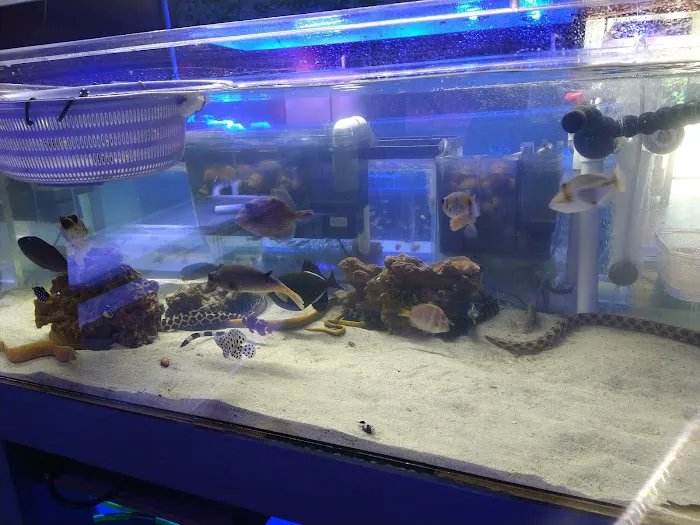Violet Aquarium LLC Picture 6
