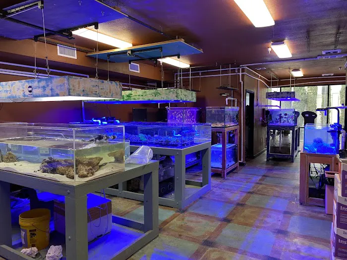 Violet Aquarium LLC Picture 10