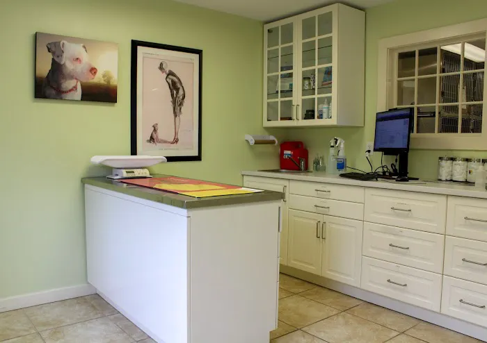 Brookline Animal Hospital, A Thrive Pet Healthcare Partner Picture 2