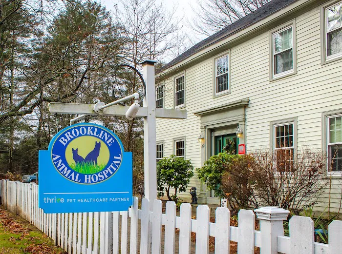Brookline Animal Hospital, A Thrive Pet Healthcare Partner Picture 3