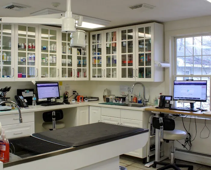 Brookline Animal Hospital, A Thrive Pet Healthcare Partner Picture 5