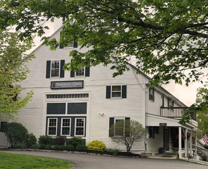 Preventive Veterinary Medicine Clinic Picture 2