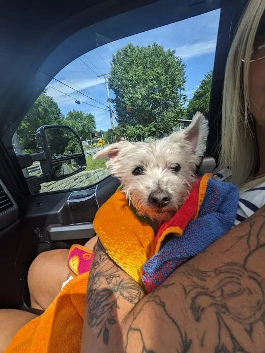 Preventive Veterinary Medicine Clinic Picture 7