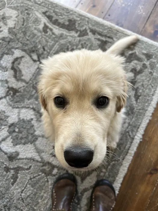 Preventive Veterinary Medicine Clinic Picture 9