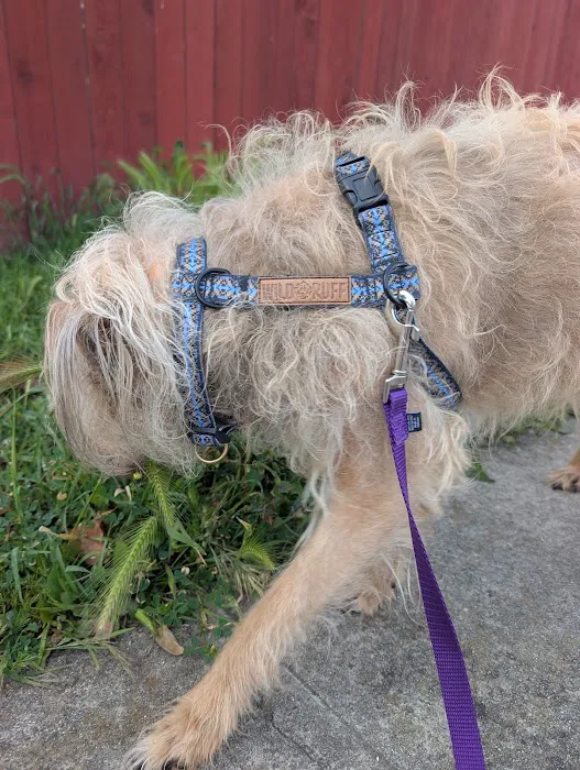 Benji's Shop Picture 1